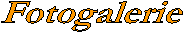 Fotogalerie